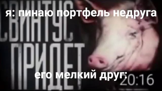 свинтус придёт/свинтус придёт мем смотреть онлайн