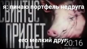 свинтус придёт/свинтус придёт мем