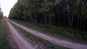 Нагонка РГ Арфы и РГ Забавы по зайцу-беляку .26.05.2022.