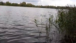 Улётная рыбалка в Ульяновске! #рыбалка#рыбалканаокуня#хобби#
