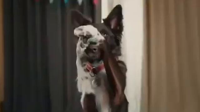 #StopHatingRussians смотреть онлайн