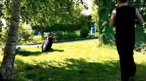СОБАКА НЕ ПОДХОДИТ К ХОЗЯИНУ.Что делать? Воспитание и дрессировка