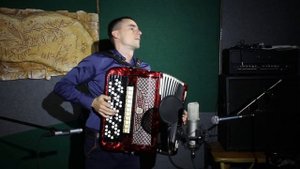 Игра на баяне, лучшее; Дмитрий Сизенко