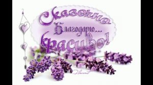 46 лет Лавандовая свадьба