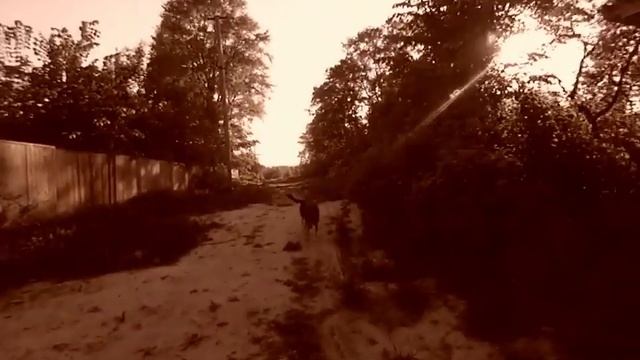 Талабоходы: сплав по Псковскому озеру смотреть онлайн