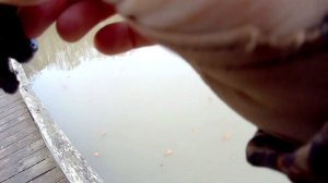 Прогулялся со спиннингом по берегу лесного озера и наловил щуки. Ловля щука зимой на спиннинг.