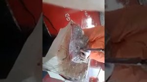 Разделка Черноморского ската