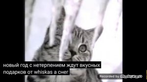 whiskas новый год 2005-2006 реклама