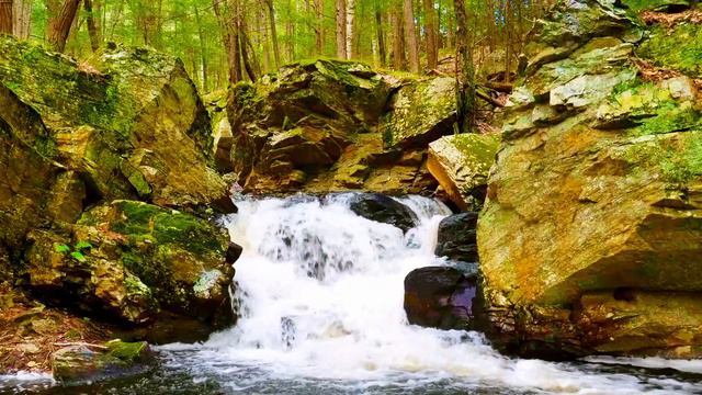 3 Hour Relaxing Rocky Water Cascade in Beautiful Forest with Soothing Sounds of Water and Music смотреть онлайн