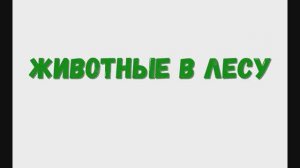 Изучаем животных в лесу, смотрим видео про зверей.(Медведь, рысь)