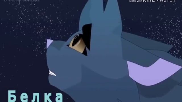 коты воители крутобок и серебрянка ошибка