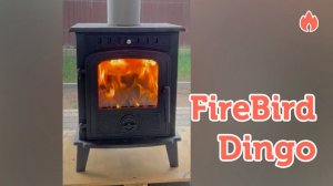 Горение огня в печь камине FireBird Dingо...