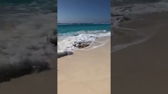 Tourists and Pelican, Cayo Largo Del Sur, Cuba Jan 2020