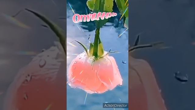 Доброй ночи!Сладких снов!