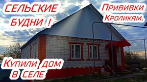 Купили дом в селе,прививки кроликам,сельские будни.