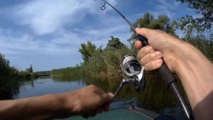 Ловля голавля на воблер Jackall Chubby 38F