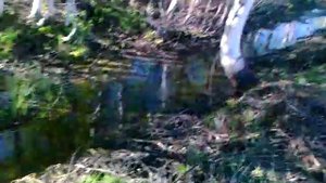 14 06 2014 ОТКАЧКА ВОДЫ ИЗ КОТЛОВАНА и ОЧИСТКА КАНАВЫ