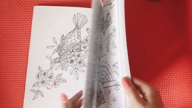 Что я беру с собой на дачу?Раскраски антистресс |Лето 2020|Я вернулась на канал!|Валерия Арт смотреть онлайн