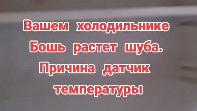 Снеговой нарост в холодильнике Бошь.