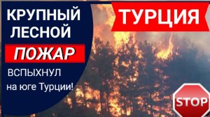 ТУРЦИЯ 2022❗КРУПНЫЙ ЛЕСНОЙ ПОЖАР ВСПЫХНУЛ НА ЮГЕ ТУРЦИИ❗ТУРЦИЯ СЕГОДНЯ/СЕЙЧАС: НОВОСТИ, ОТДЫХ 2022