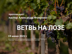 2022 06 19 Александр Фоменко Ветвь на лозе