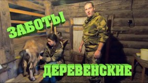 Земля Новгородская. Хозяйство. Часть 2.