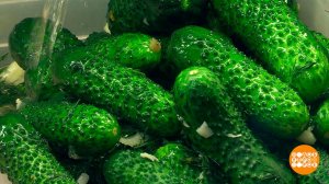 Малосольные огурчики: главное - хруст! Доброе утро. Фрагмент выпуска от 15.06.2023