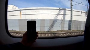 Реальная скорость ласточки