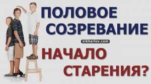 Анатомический рост Физиологический рост. Метаболизм юношества: до 20 лет. Вторая фаза обмена веществ