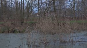 Sony FDR AX700 HDR 4K Test - Amazing 4k video ultra hd