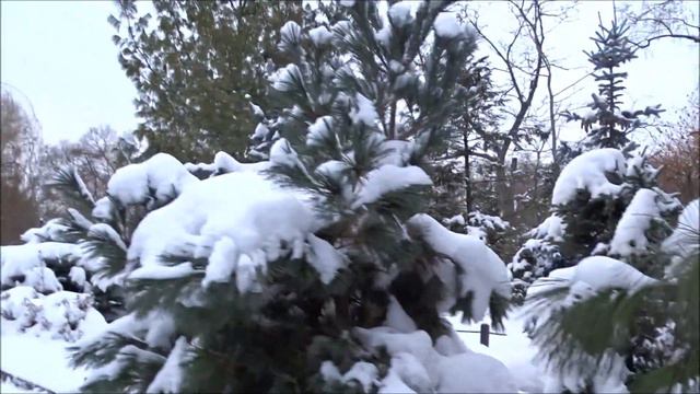 Зима.Снегопад.Россия.Winter.Snow.Russia. смотреть онлайн