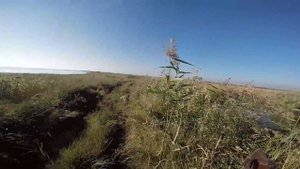 Открытие охоты на фазана и серую куропатку . Не обычный случай на охоте #4