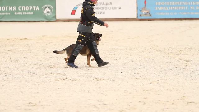 18.10.2015. ЛАВ ЭНД СПИРИТ ЖЕСКАР C-85