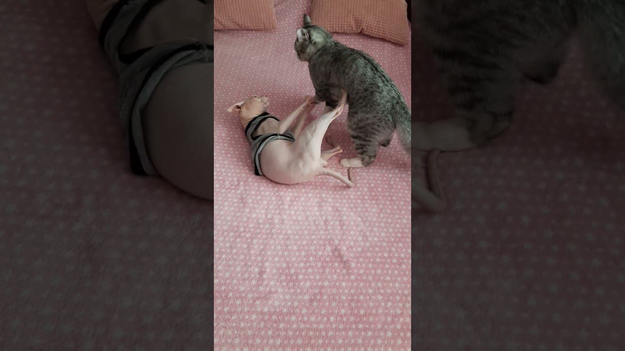 Маня с Даней смотреть онлайн