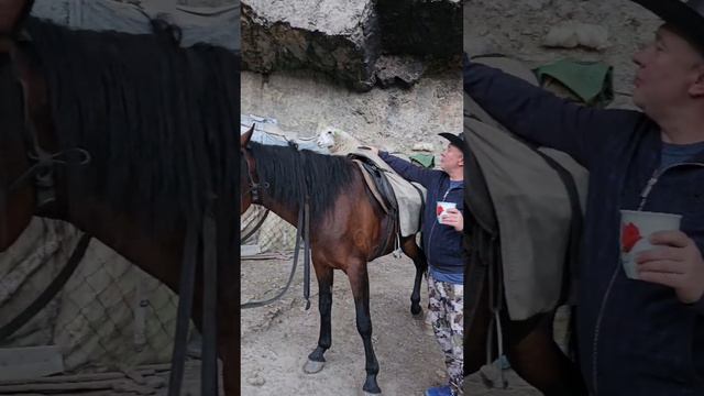 Дегустация айрана полным ходом 😅🥛