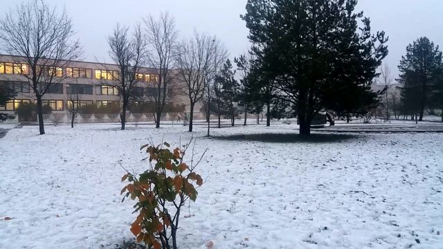 Первый снег. г. Осиповичи. 26.10.2017 г. смотреть онлайн