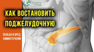 Как восстановить поджелудочную. Вред и польза химиотерапии. Руденко В.В. Академия Целителей.mp4