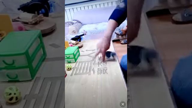 Китайцы в кароновирус