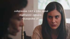 Содержание 185 и 186 серий (23 турецкая) второго сезона сериала "Зимородок" (РФ, 2023 / 2024)