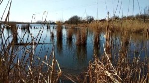 Как поймать Карася ранней весной Рыбалка на Кубани