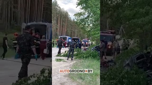 В лесу у Августовского канала нашли автомобиль - внутри были люди
