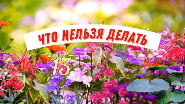 13 июня народный праздник Еремеев день. Что нельзя делать. Народные традиции и приметы и суеверия.