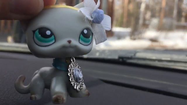 LPS:распаковка посылки. Пришла посылка с али.лпс.