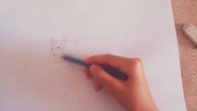 Как нарисовать шиншиллу??? смотреть онлайн