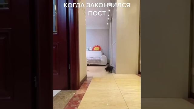 Когда закончился пост