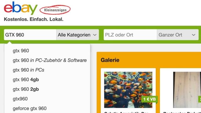 DIESE GRAFIKKARTEN gibt es für 50 EURO auf EBAY Kleinanzeigen! Gebrauchte Grafikkarten 2021