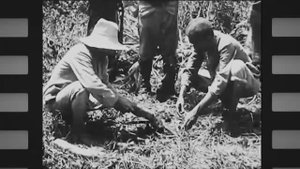 ЛикБез Охота на леопарда 1909 год.mp4