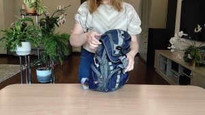 Городской рюкзак Polar П1507