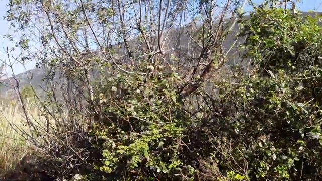 Uvala valdanos_ ulcinj смотреть онлайн