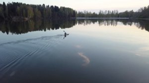 Лесное озеро. Сергиев Посад